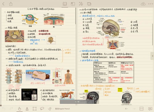 原来,学霸笔记是这样 修炼 的