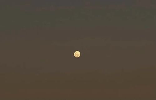 天秤座新月丨愿你勇敢,平和,有爱