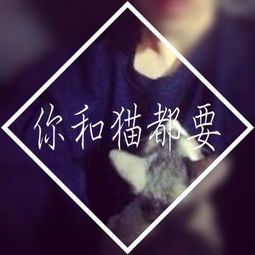 可以求个带猫的情侣头像么 真人的 不要动漫