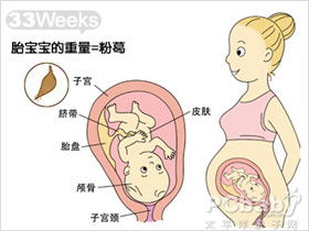 怀孕33周胎儿发育图 搜狗图片搜索