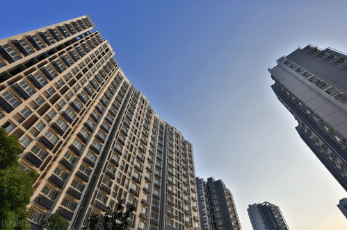 上海楼市：“认房不认贷”后，3000万房子一天成交，创下一个月的销售量
