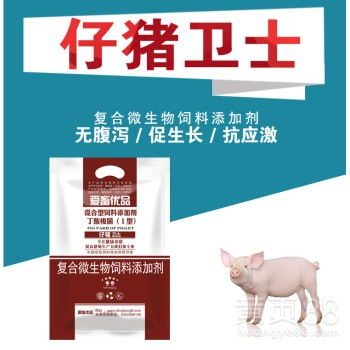 【断奶小猪不吃饲料怎么办】-黄页88网