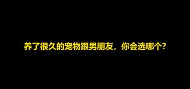 养了很久的宠物和男朋友选哪个 小姐姐的回答男朋友都哭了