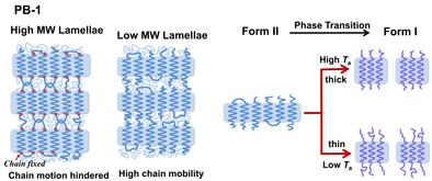 高分子物理与化学国家重点实验室在聚丁烯 1的II到I晶型转变机理研究上取得新进展 