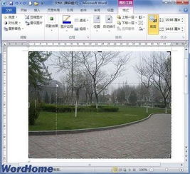 win10word图片如何裁剪 
