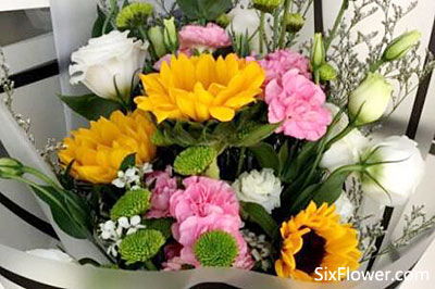 长辈送什么花,送花给长辈，用花朵传递浓浓的亲情与祝福