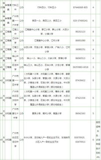 湛江小升初政策2023（湛江小升初政策2023年）