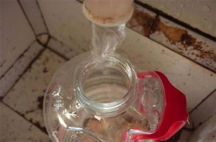 矿泉水瓶 鸡蛋壳会产生怎样的化学反应 想知道么 