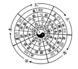 中医 人的鼻涕由脑腺体渗出 的说法探究 