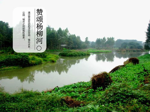 河道治理方案,河道治理方案