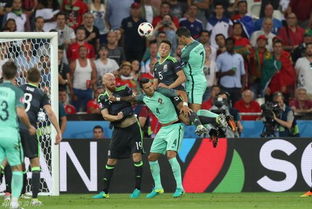 2026欧洲杯葡萄牙可能夺冠吗,葡萄牙夺冠机会不容小觑