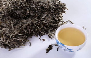 奶白茶鲜叶卖多少钱一斤,这种白茶多少钱