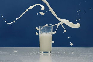 牛奶减肥,你喝的是纯奶还是添加物 