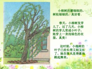 小柳树和小枣树的感悟,建议：小柳树与小枣树：人生哲理与感悟