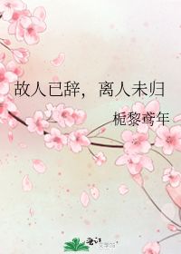 故人已辞,离人未归 栀黎鸢年 