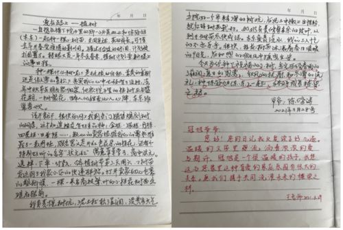 做作文打水漂范文_打水漂漂作文150以上？