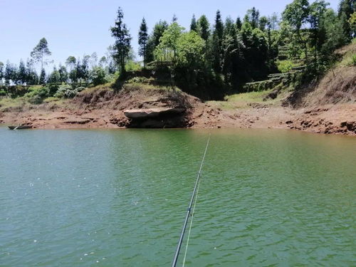 岗山水库,潮州岗山水库的具体位置?-第2张图片