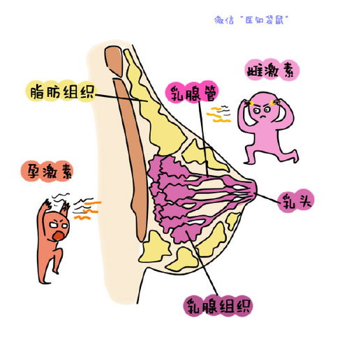 女人怀孕后,咪咪会经历的3个奇妙变化