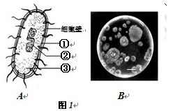 ftm培养基浑浊,2原因分析。