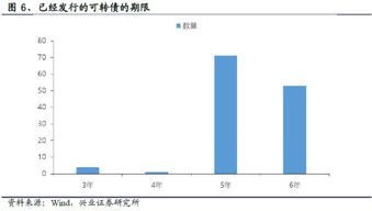 可转债转股的票面利率