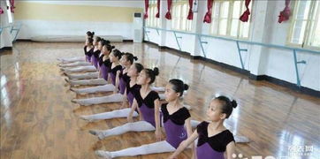 宁波高考美术培训学校