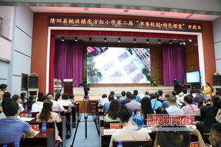 隆回县东方红小学举办第二届 书香校园 特色课堂 开放日 活动
