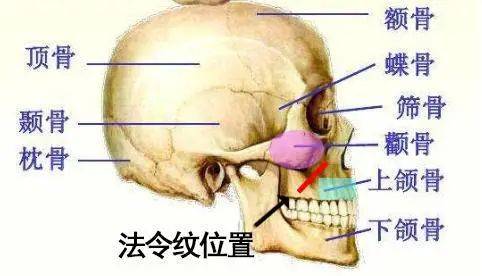 为什么40岁的谢霆锋像30岁,陈冠希像50岁