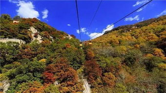 十一假期来平山 爬山赏秋景 泡温泉 采摘......乐趣享不停 