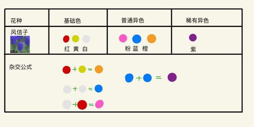 动森异色花杂交方法(动森异色花种类)