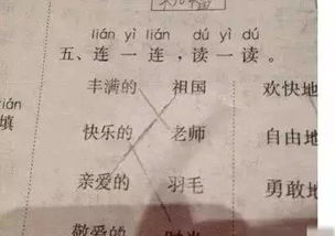 看完这些孩子的试卷,笑到趴 求老师的心理阴影面积