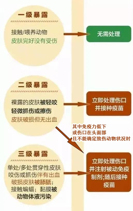 兽医微生物查重的重要性及步骤