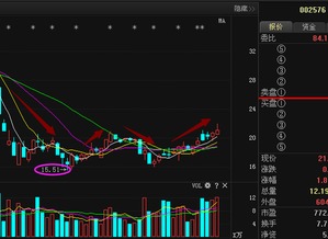 通达动力002576后市怎么操作，能走好吗？