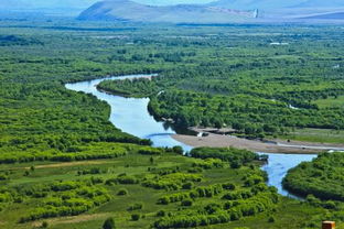 额尔古纳旅游攻略必玩的景点,探索神秘北疆！玩转额尔古纳，不容错过的绝美景点！