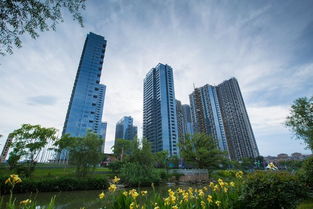 楼市点评推荐 8月杭州卖的最好的十大楼盘 