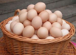 5e08b911451f122c? - 红心鸡蛋和黄心鸡蛋有什么区别,【探秘食品界】红心鸡蛋与黄心鸡蛋的神秘差异，原来真相是这样的！