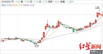 000246兴业矿业未来走势。