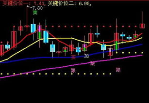 600033后面走势如何？