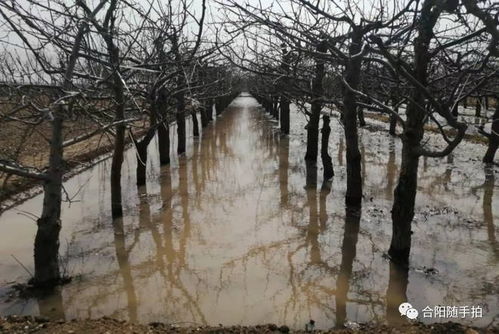 梦见引水灌溉田