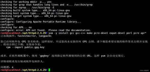 linux程序运行,linux 中怎样运行一个程序