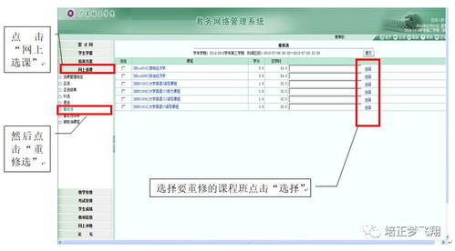 批改网查重教程：详细步骤与技巧