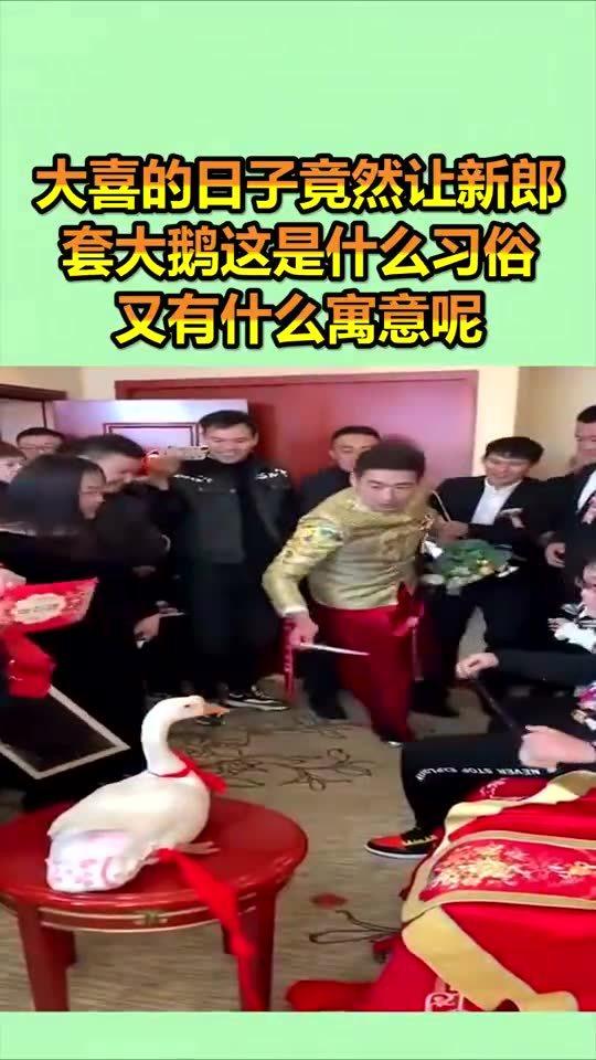 大喜的日子竟然让新郎套大鹅,这是什么习俗又有什么寓意呢 