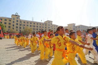 河南少林寺嵩山武术学校有叛逆的学生吗