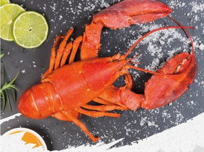 龙虾图片,豪华海鲜盛宴:迷人的龙虾图片与美食攻略