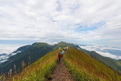 萍乡武功山金顶云海 高山草甸2日游