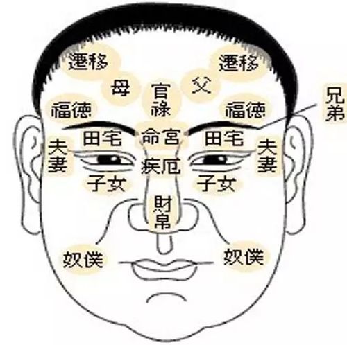 小李子为什么能拿到小金人 从五行中全面解析