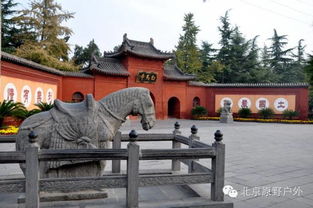 五一 赏洛阳牡丹 游嵩山少林寺 观龙门石窟 白马寺 吃绝佳美食流水席 