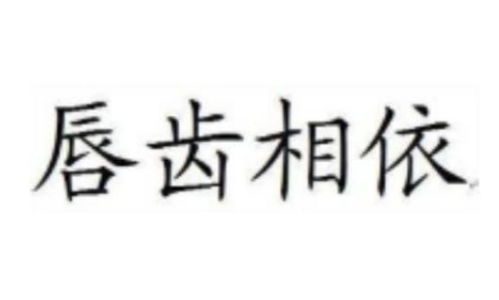 《唇齿相依》的典故,唇齿相依——成语背后的历史故事