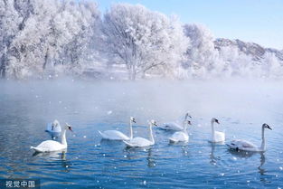 大雪至,让这份暖冬之旅温暖您