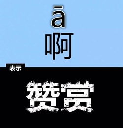 中麒基金是么回事