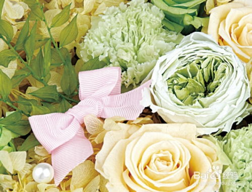 粉色玫瑰的花语照片,粉红玫瑰花语和图片欣赏